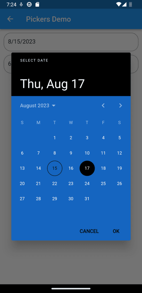 Date picker theme